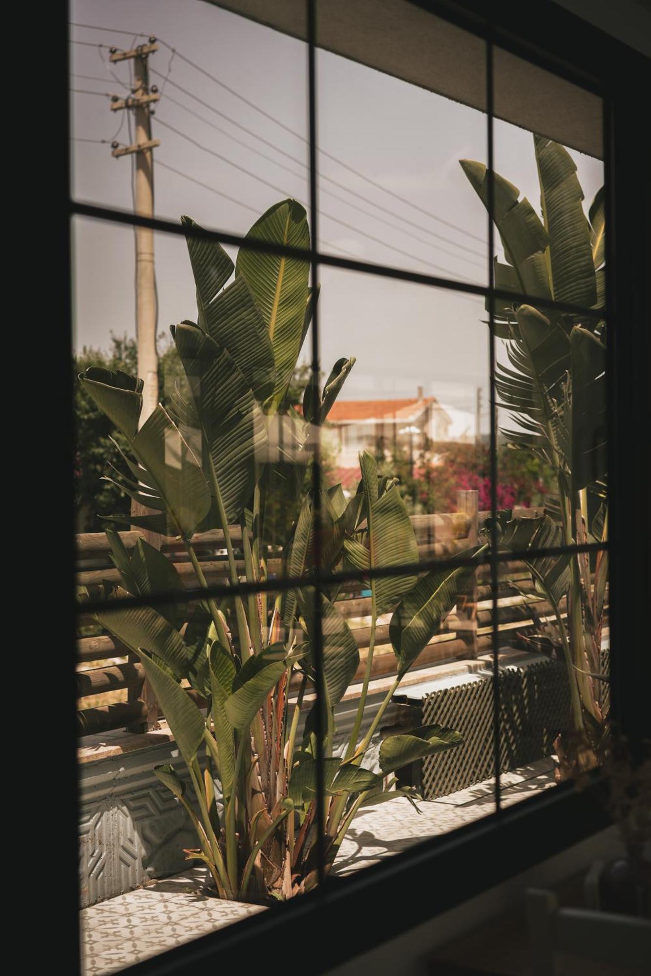 La Vida Otel Urla Kültér fotó